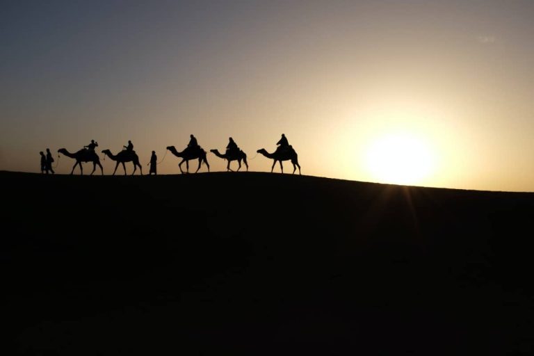 Caravana de camellos en el desierto al atardecer