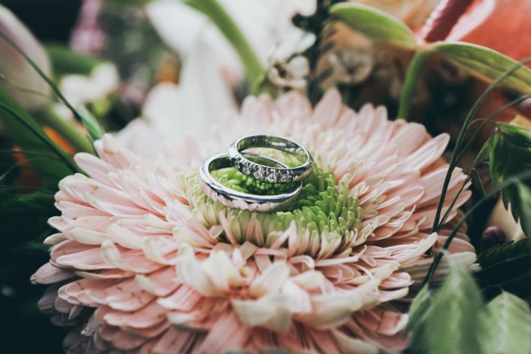 Alianzas de boda sobre una flor rosa